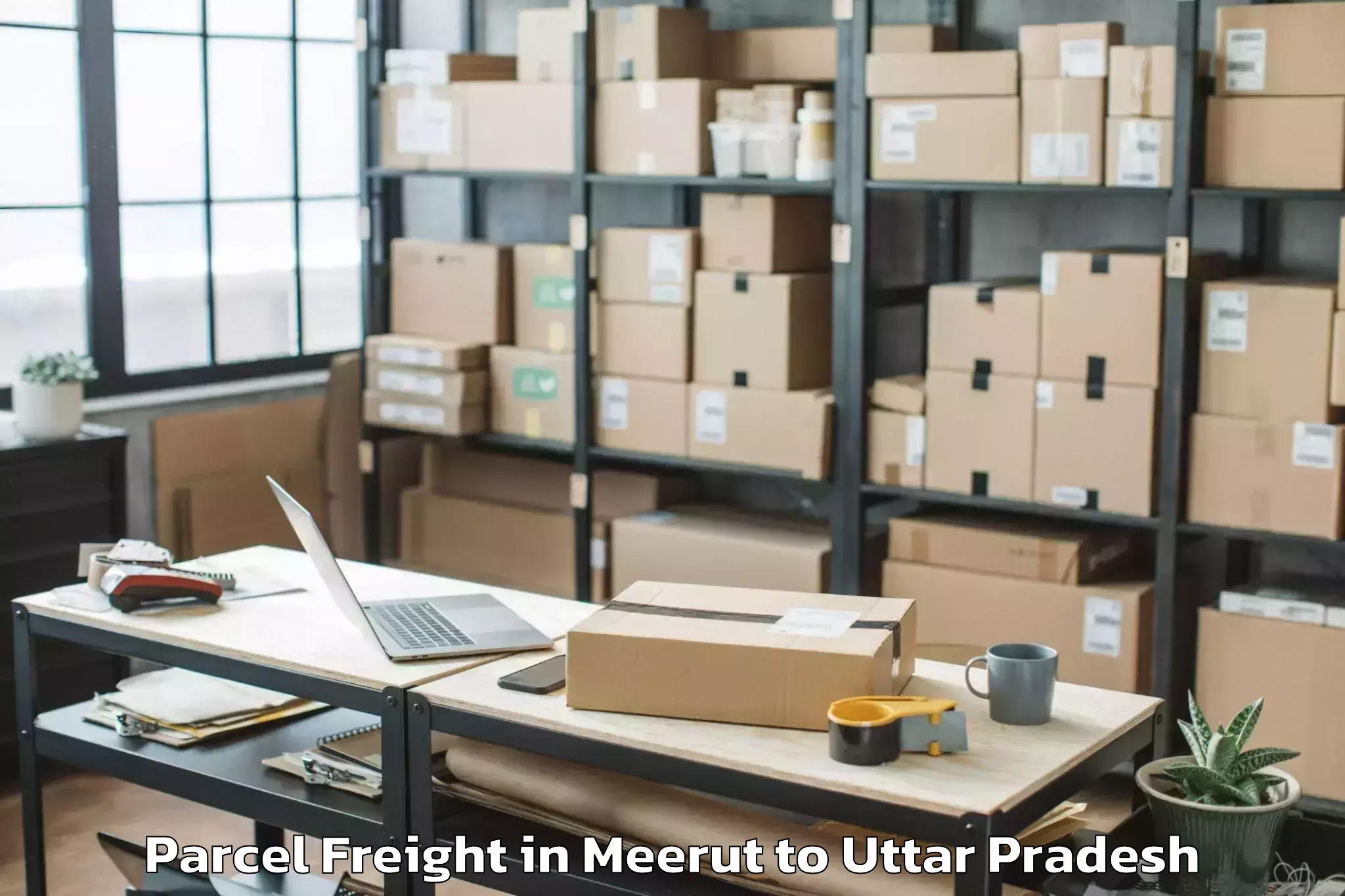 Affordable Meerut to Maharishi University Lucknow Parcel Freight